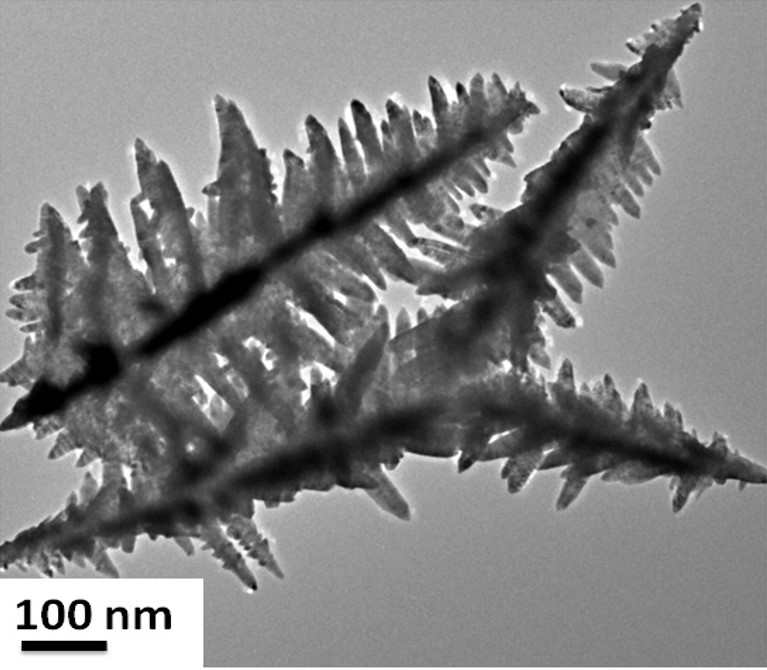 CdS nanoflowers